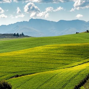 Lire la suite à propos de l’article La Vie Claire récompense trois projets en Auvergne-Rhône-Alpes