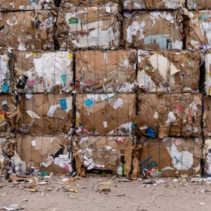 Lire la suite à propos de l’article Vers une baisse des déchets d&rsquo;ici 2025 ?